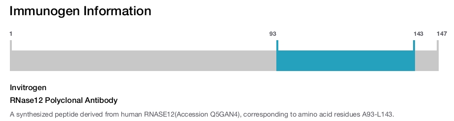 RNase12 Polyclonal Antibody