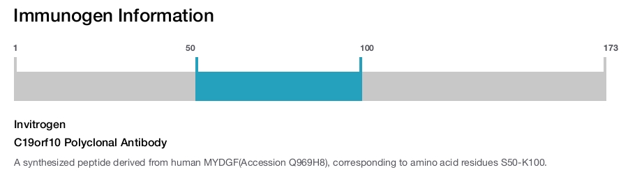 C19orf10 Polyclonal Antibody