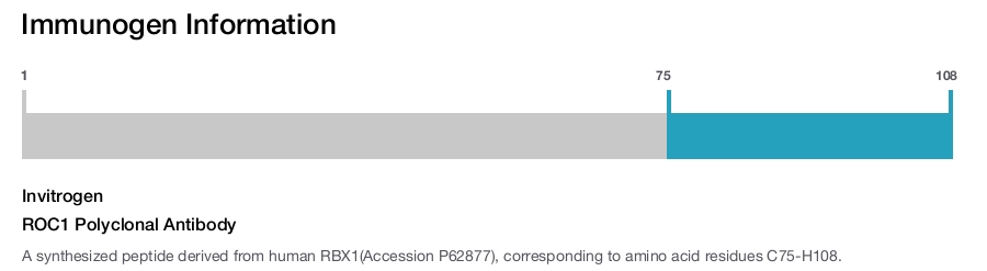 ROC1 Polyclonal Antibody