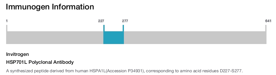 HSP701L Polyclonal Antibody