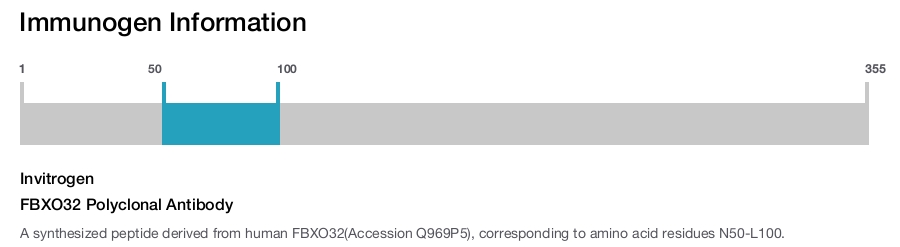 FBXO32 Polyclonal Antibody
