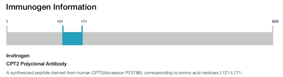 CPT2 Polyclonal Antibody