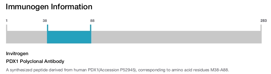 PDX1 Polyclonal Antibody