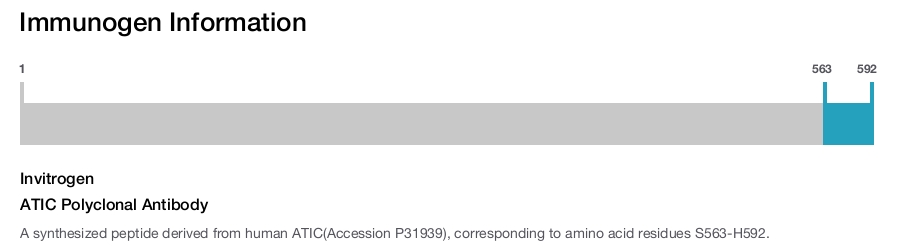 ATIC Polyclonal Antibody