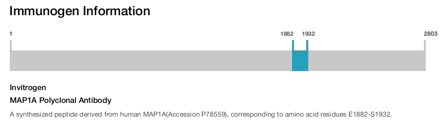 MAP1A Polyclonal Antibody