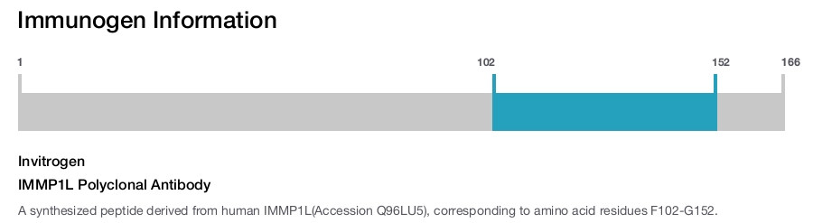 IMMP1L Polyclonal Antibody
