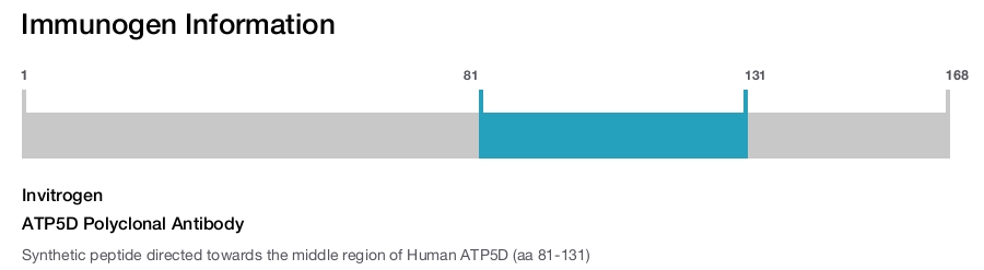 ATP5D Polyclonal Antibody