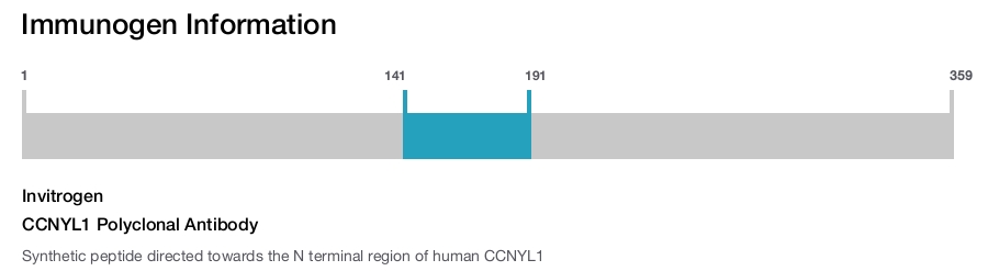 CCNYL1 Polyclonal Antibody