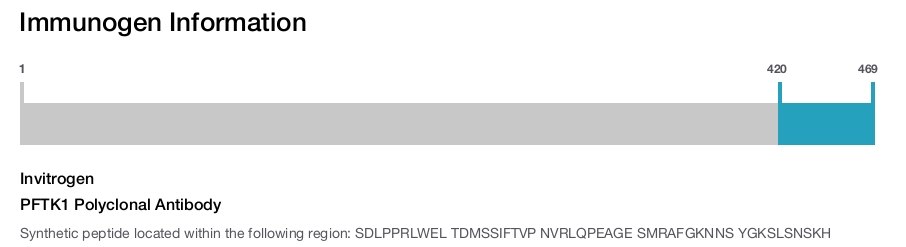 PFTK1 Polyclonal Antibody