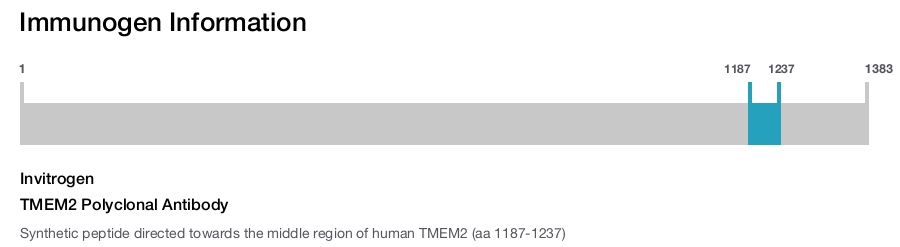 TMEM2 Polyclonal Antibody