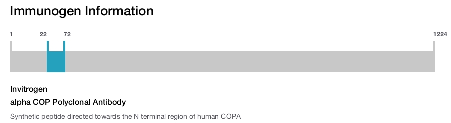 alpha COP Polyclonal Antibody