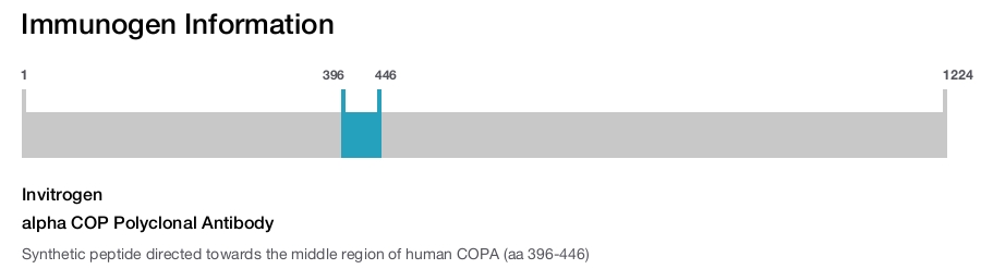 alpha COP Polyclonal Antibody