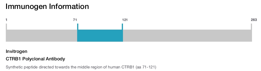 CTRB1 Polyclonal Antibody