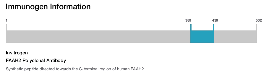 FAAH2 Polyclonal Antibody