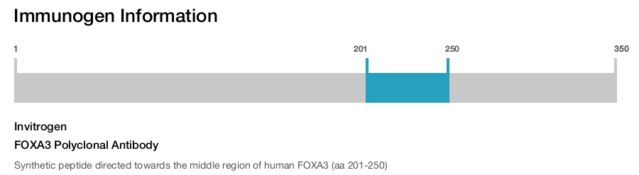 FOXA3 Polyclonal Antibody