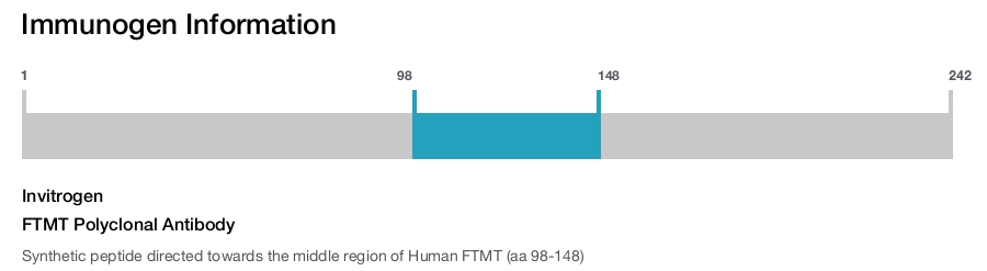 FTMT Polyclonal Antibody