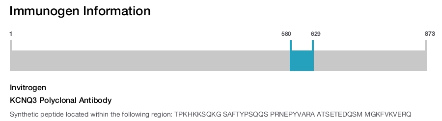 KCNQ3 Polyclonal Antibody