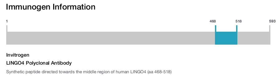 LINGO4 Polyclonal Antibody