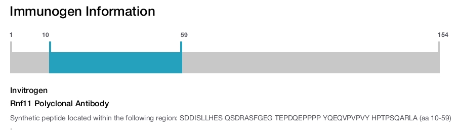 Rnf11 Polyclonal Antibody