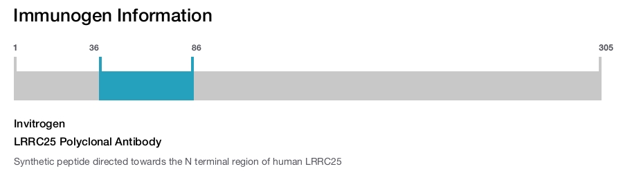 LRRC25 Polyclonal Antibody