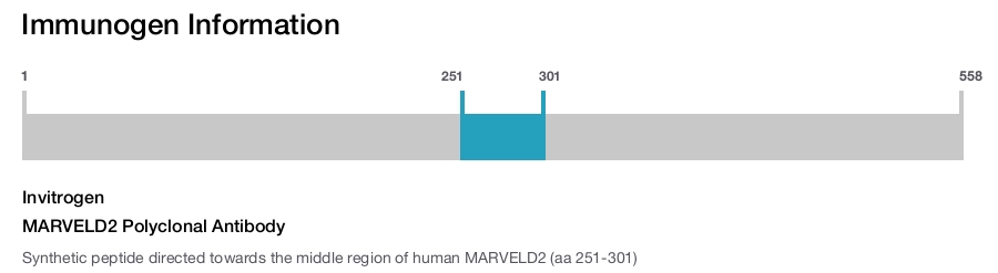 MARVELD2 Polyclonal Antibody