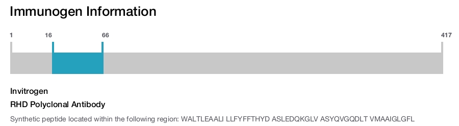 RHD Polyclonal Antibody