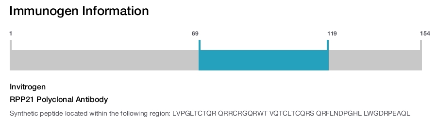 RPP21 Polyclonal Antibody