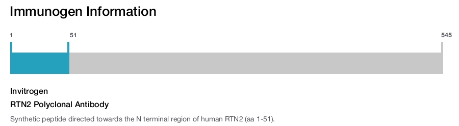 RTN2 Polyclonal Antibody