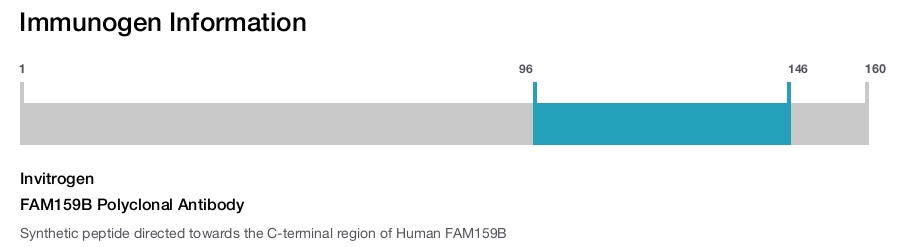 FAM159B Polyclonal Antibody