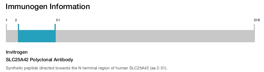SLC25A42 Polyclonal Antibody