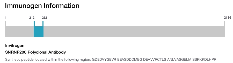 SNRNP200 Polyclonal Antibody