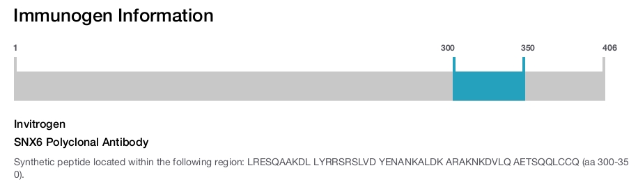 SNX6 Polyclonal Antibody