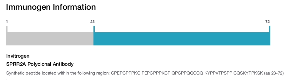 SPRR2A Polyclonal Antibody