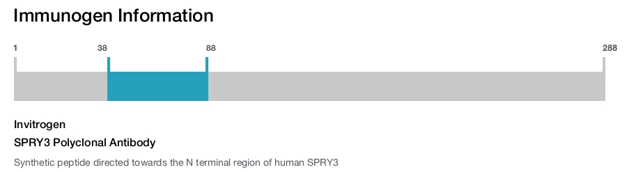 SPRY3 Polyclonal Antibody