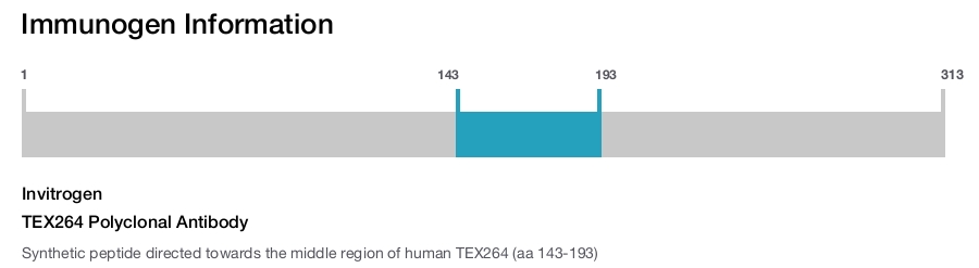 TEX264 Polyclonal Antibody