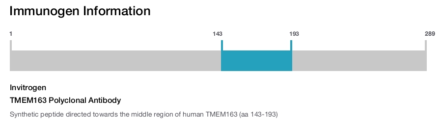 TMEM163 Polyclonal Antibody