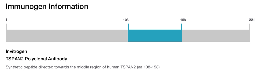 TSPAN2 Polyclonal Antibody