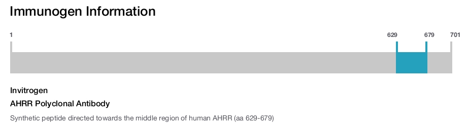 AHRR Polyclonal Antibody
