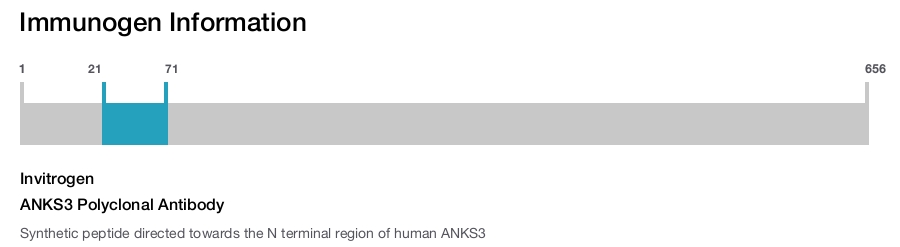 ANKS3 Polyclonal Antibody
