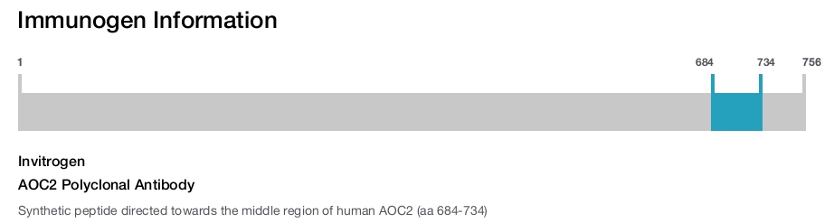 AOC2 Polyclonal Antibody
