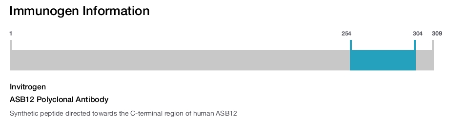 ASB12 Polyclonal Antibody