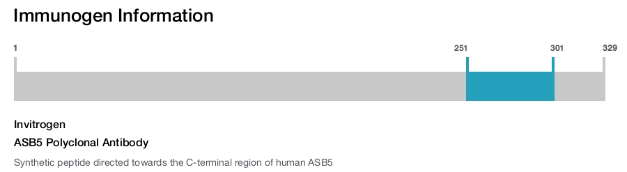 ASB5 Polyclonal Antibody