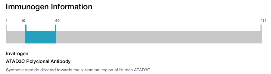 ATAD3C Polyclonal Antibody