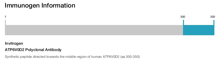 ATP6V0D2 Polyclonal Antibody