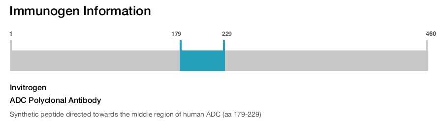 ADC Polyclonal Antibody