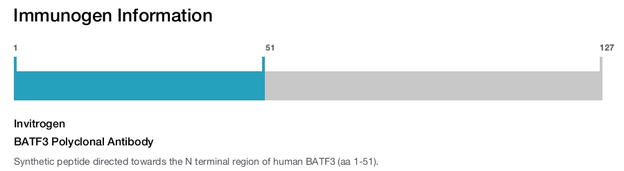 BATF3 Polyclonal Antibody
