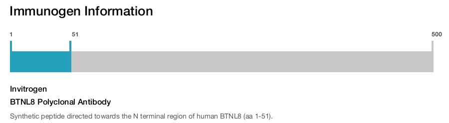 BTNL8 Polyclonal Antibody