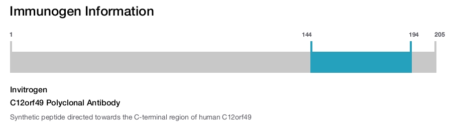 C12orf49 Polyclonal Antibody