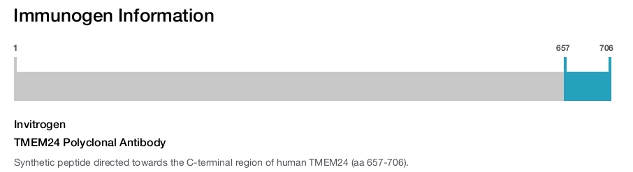 TMEM24 Polyclonal Antibody
