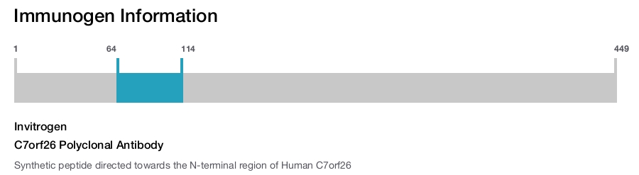 C7orf26 Polyclonal Antibody